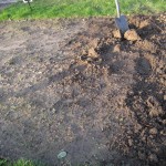Allotment and Spade