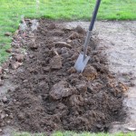Allotment and Spade (two)